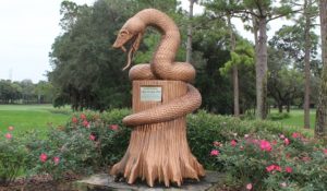 innisbrook copperhead serpiente