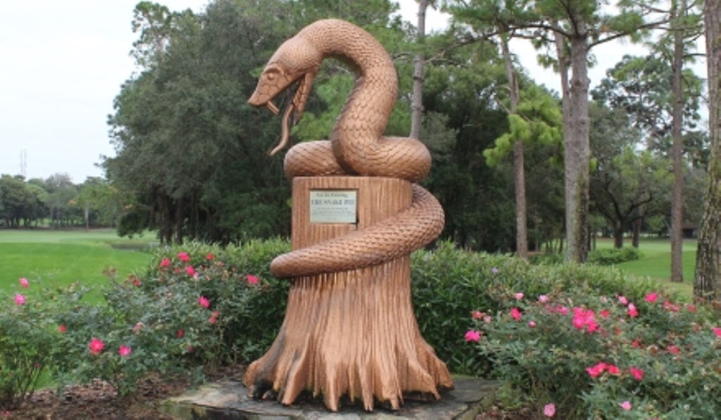 innisbrook copperhead serpiente