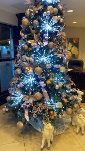 IMG-20221219-WA0000