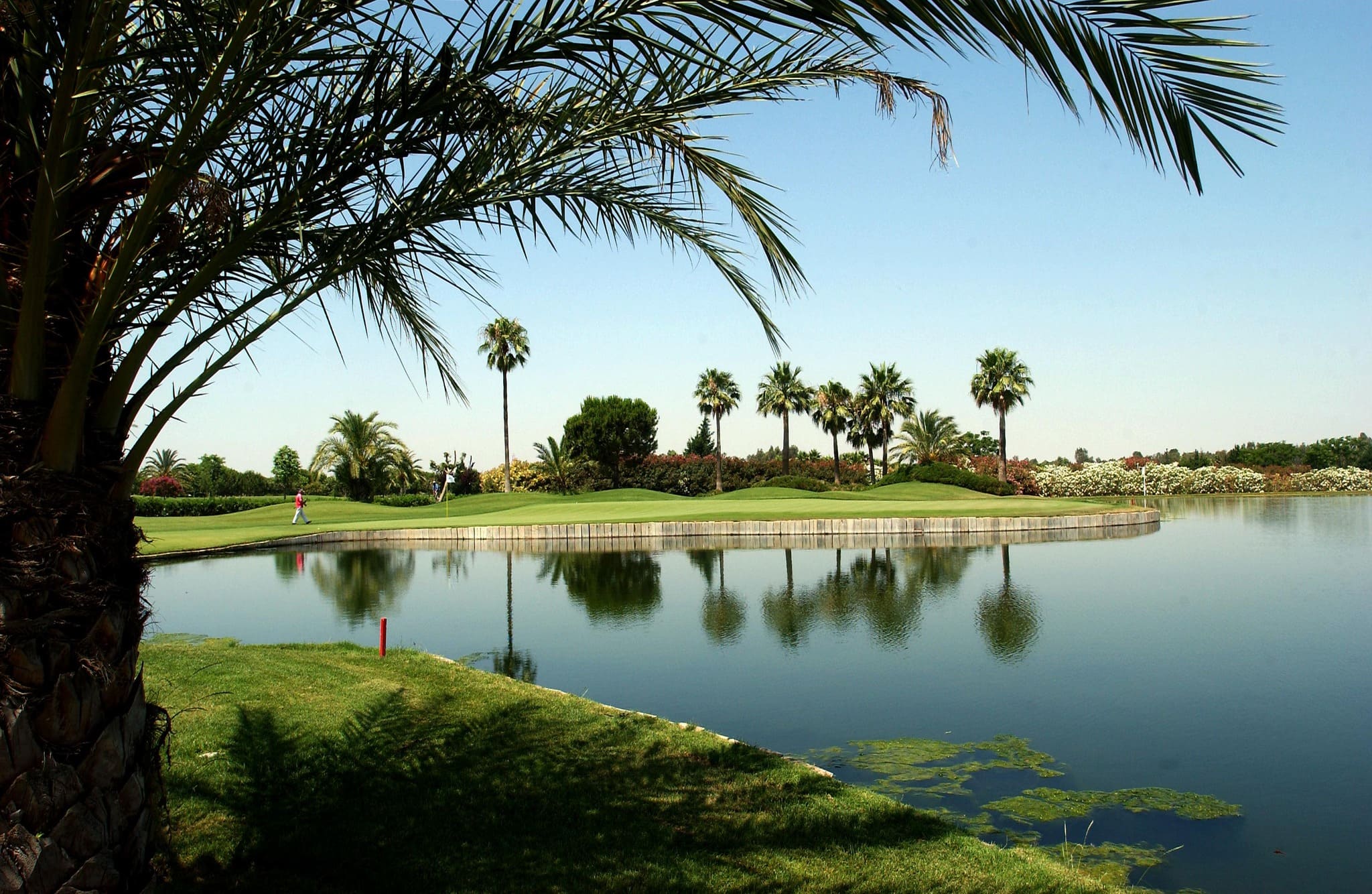 RCsevilla golf