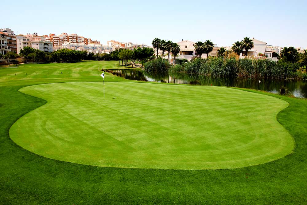 alicante golf Green16