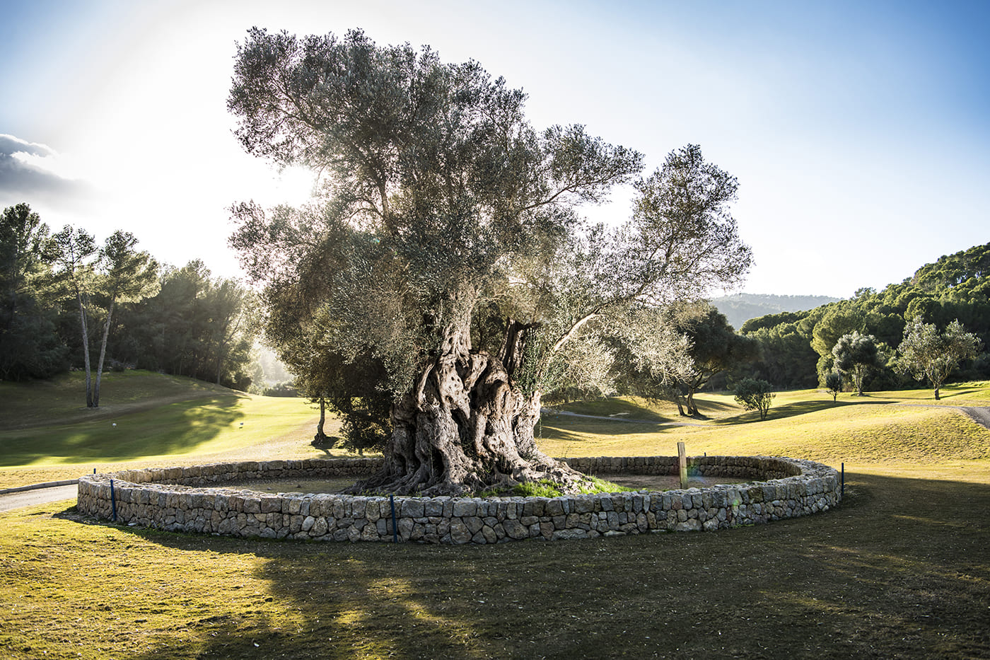 golf-son-muntaner-hoyo 14 sa capitana
